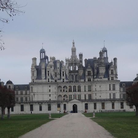 Gite Le Cerf Solognot Proche Chateau Chambord, Lamotte Beuvron 뉴응수르벤브론 외부 사진