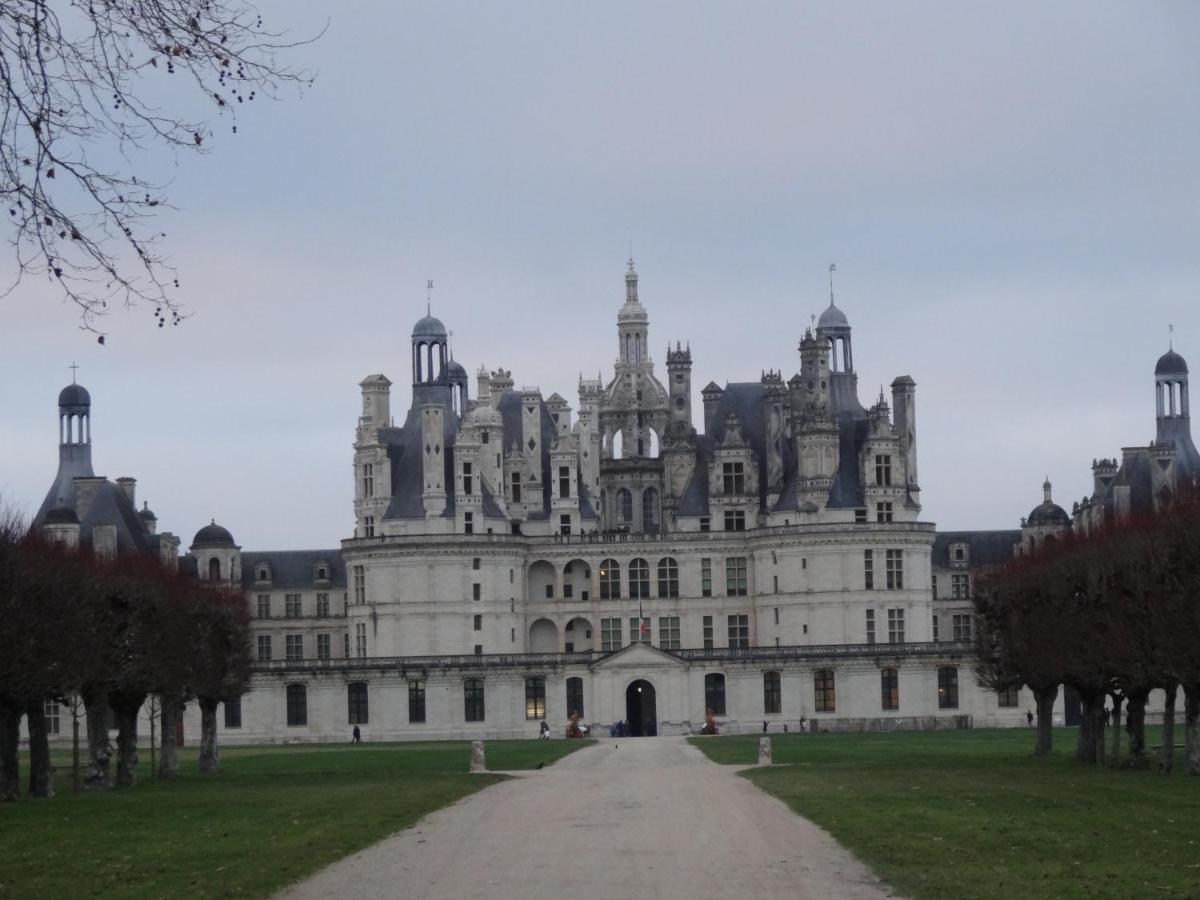 Gite Le Cerf Solognot Proche Chateau Chambord, Lamotte Beuvron 뉴응수르벤브론 외부 사진